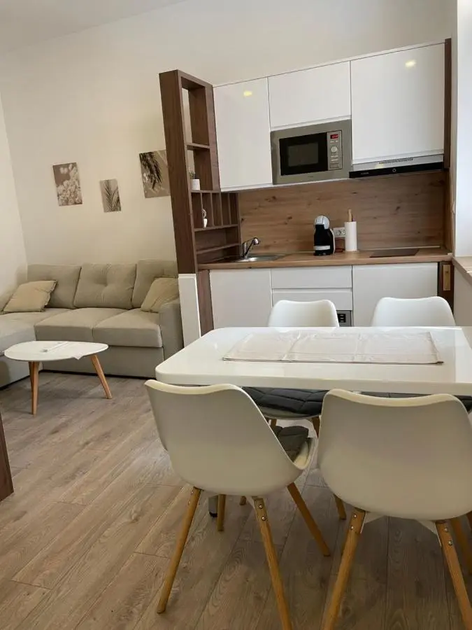 Apartments Studio Center