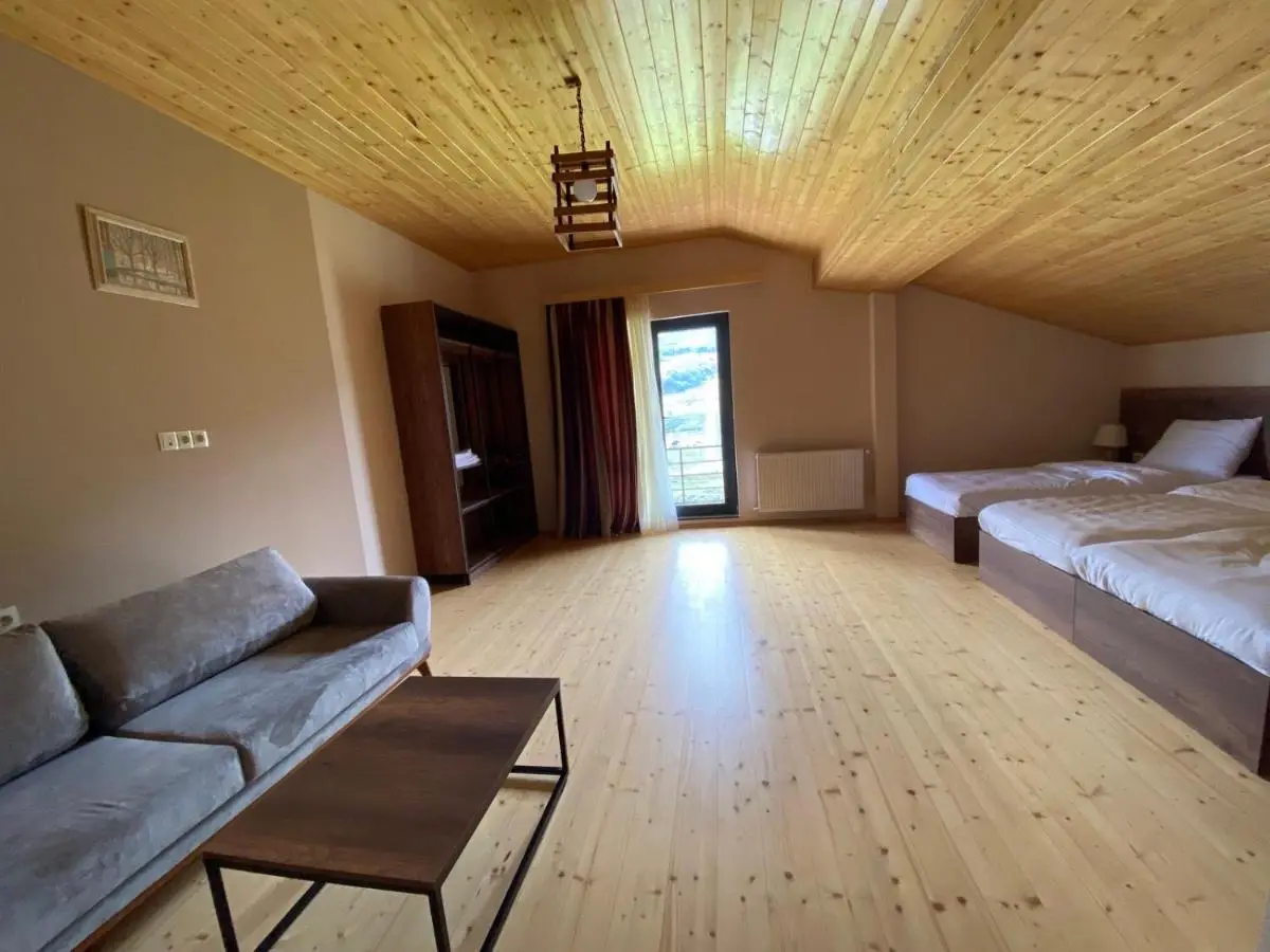 Hotel Axien Kazbegi
