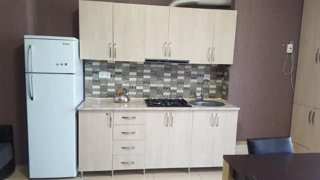 Park Apartment at Hillside Bakuriani