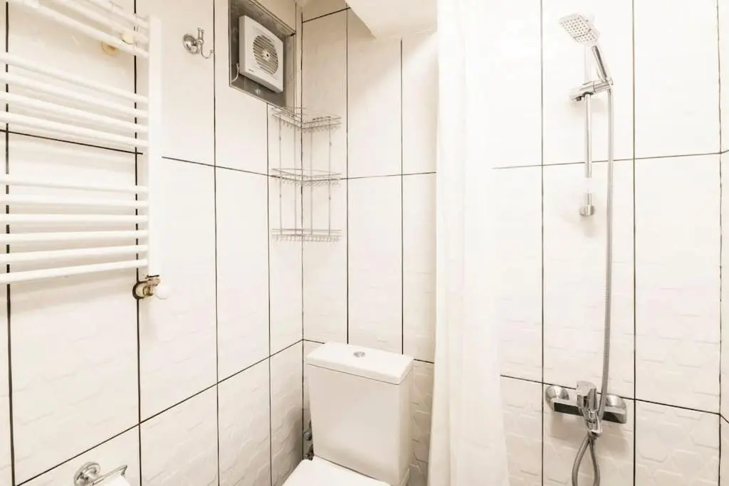 Beautiful 1 Br Apt. w/AC 400 meters Taksim Square