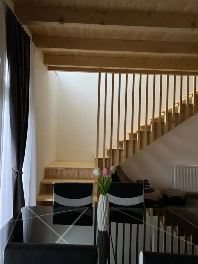 MTA house - Borjomi