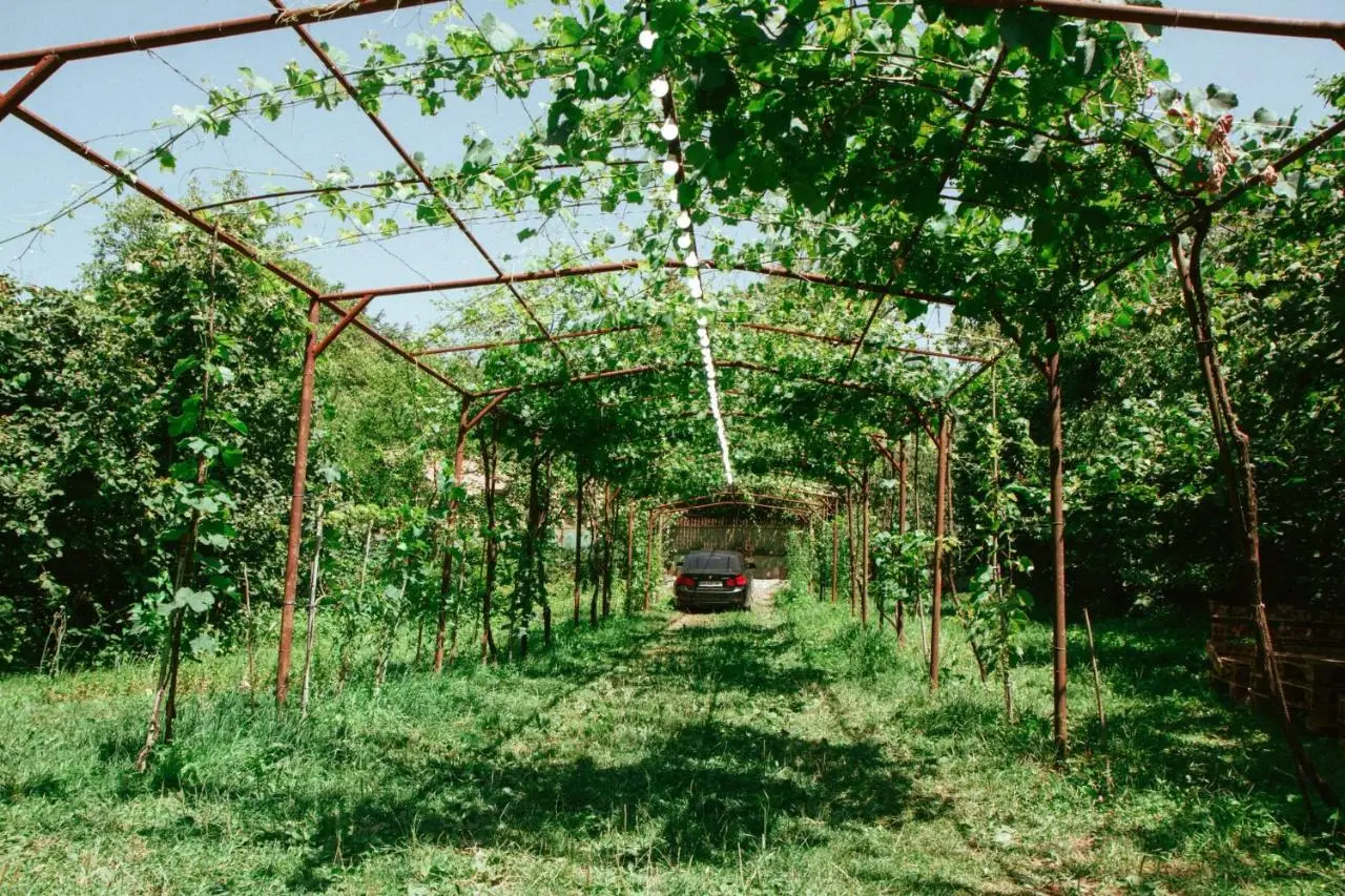 tsereteli's house