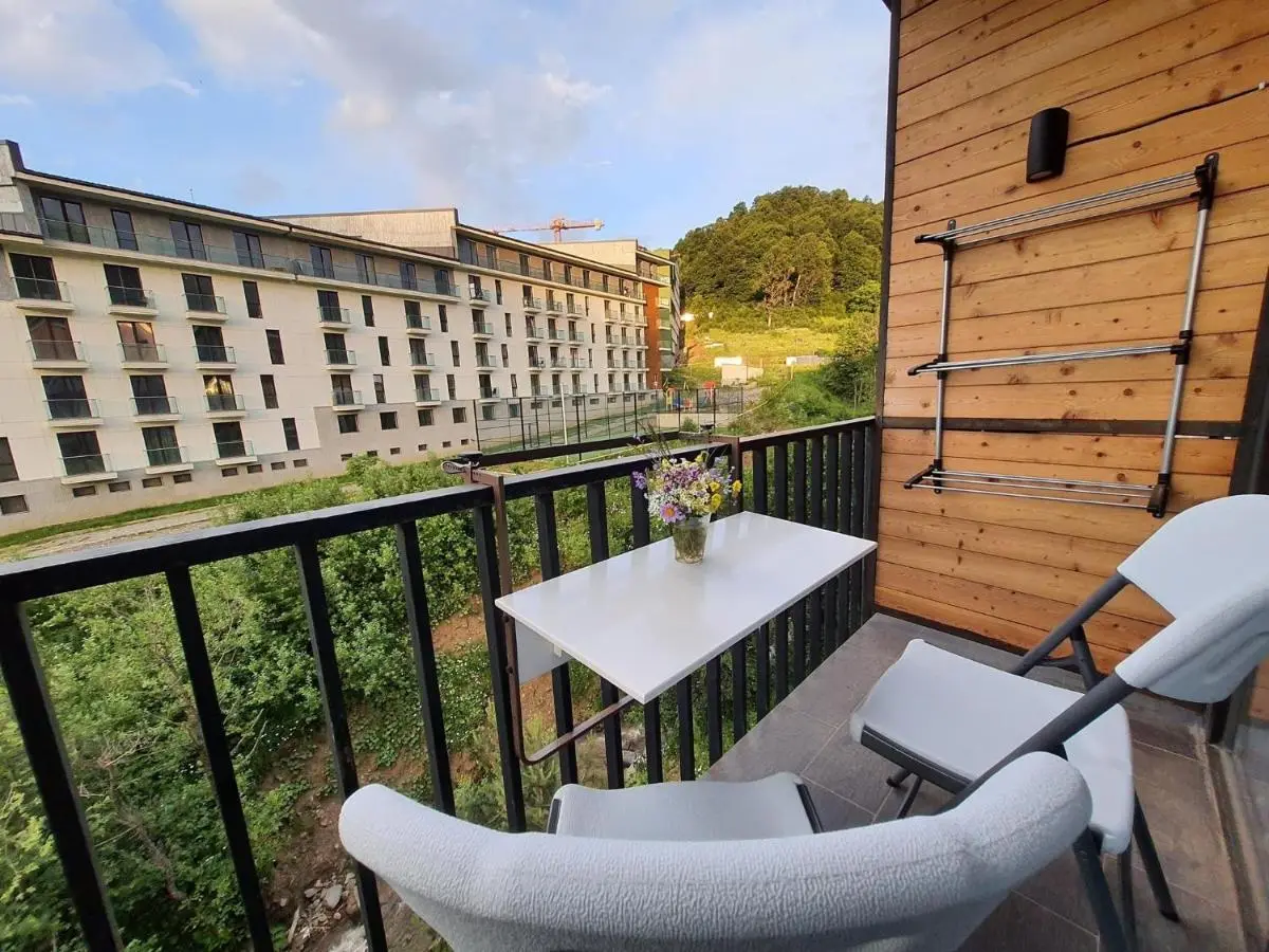 Perfect studio near Didveli ski area
