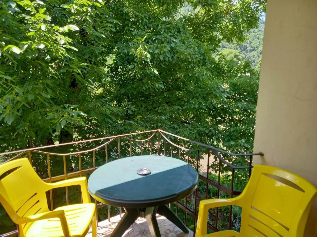 Hotel Villa Borjomi