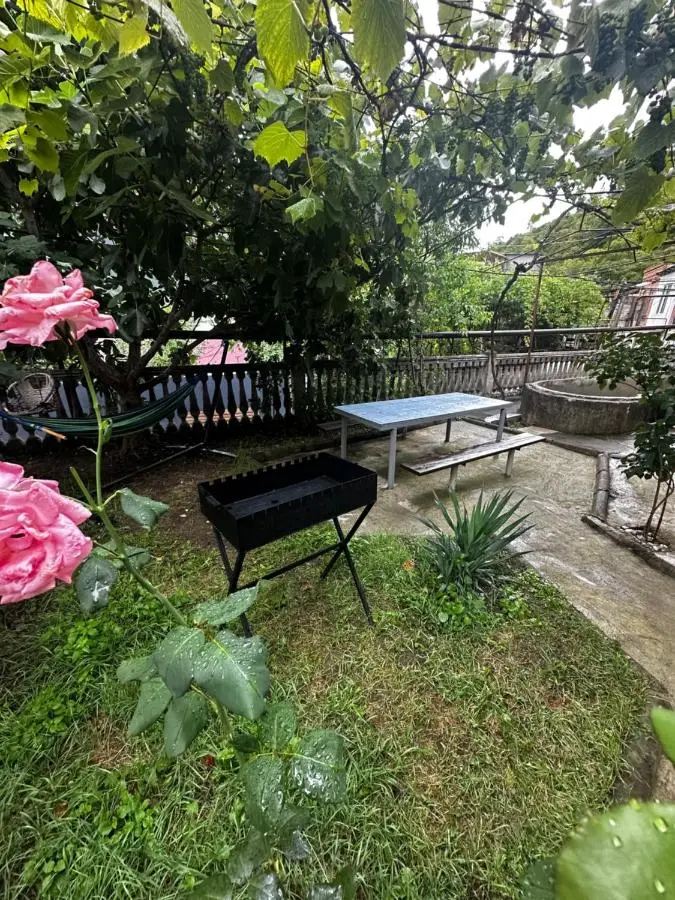 Shota's Guest House