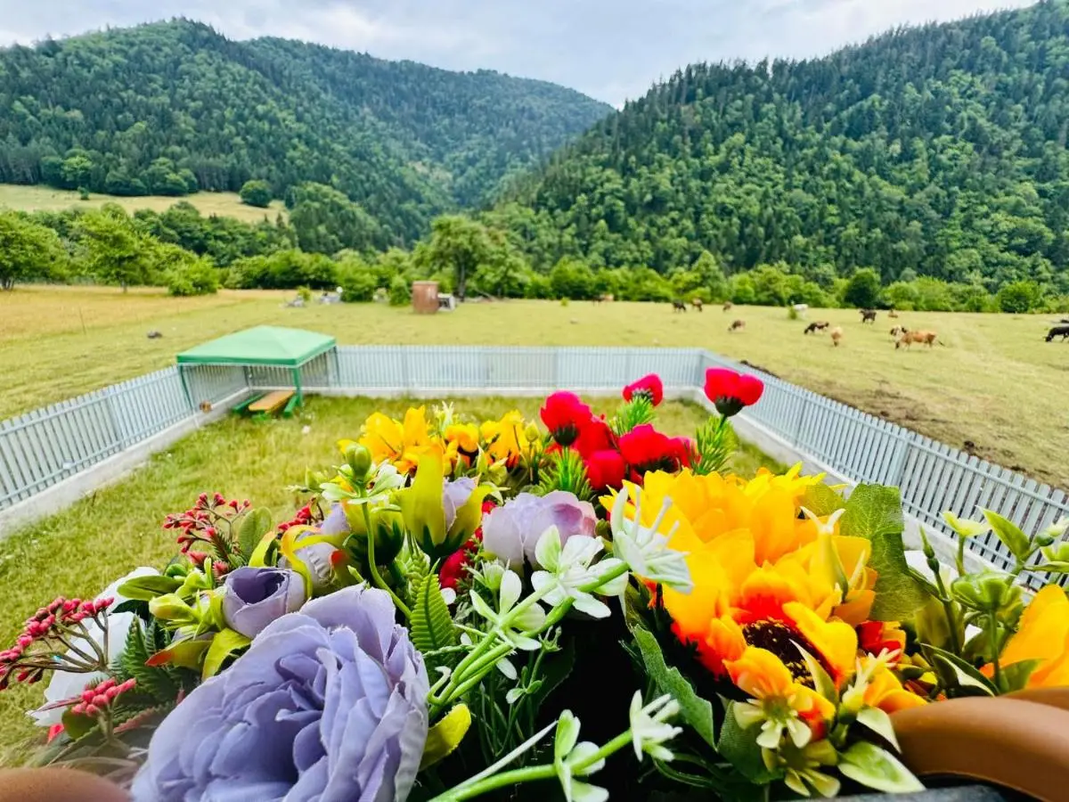 Buddy House Borjomi