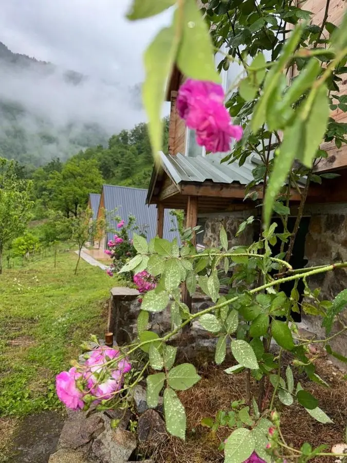 Cottage Merisi inn