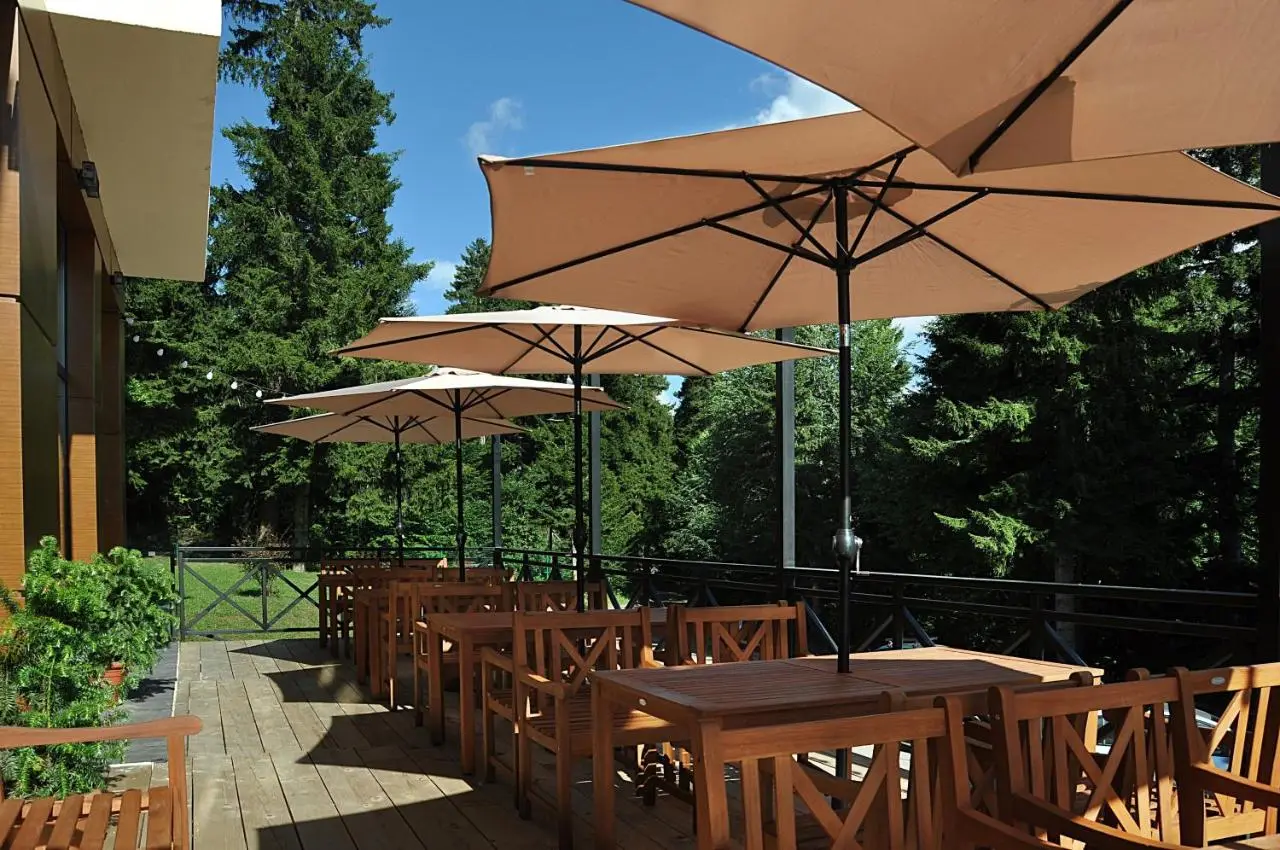 AuRoom Bakuriani Resort