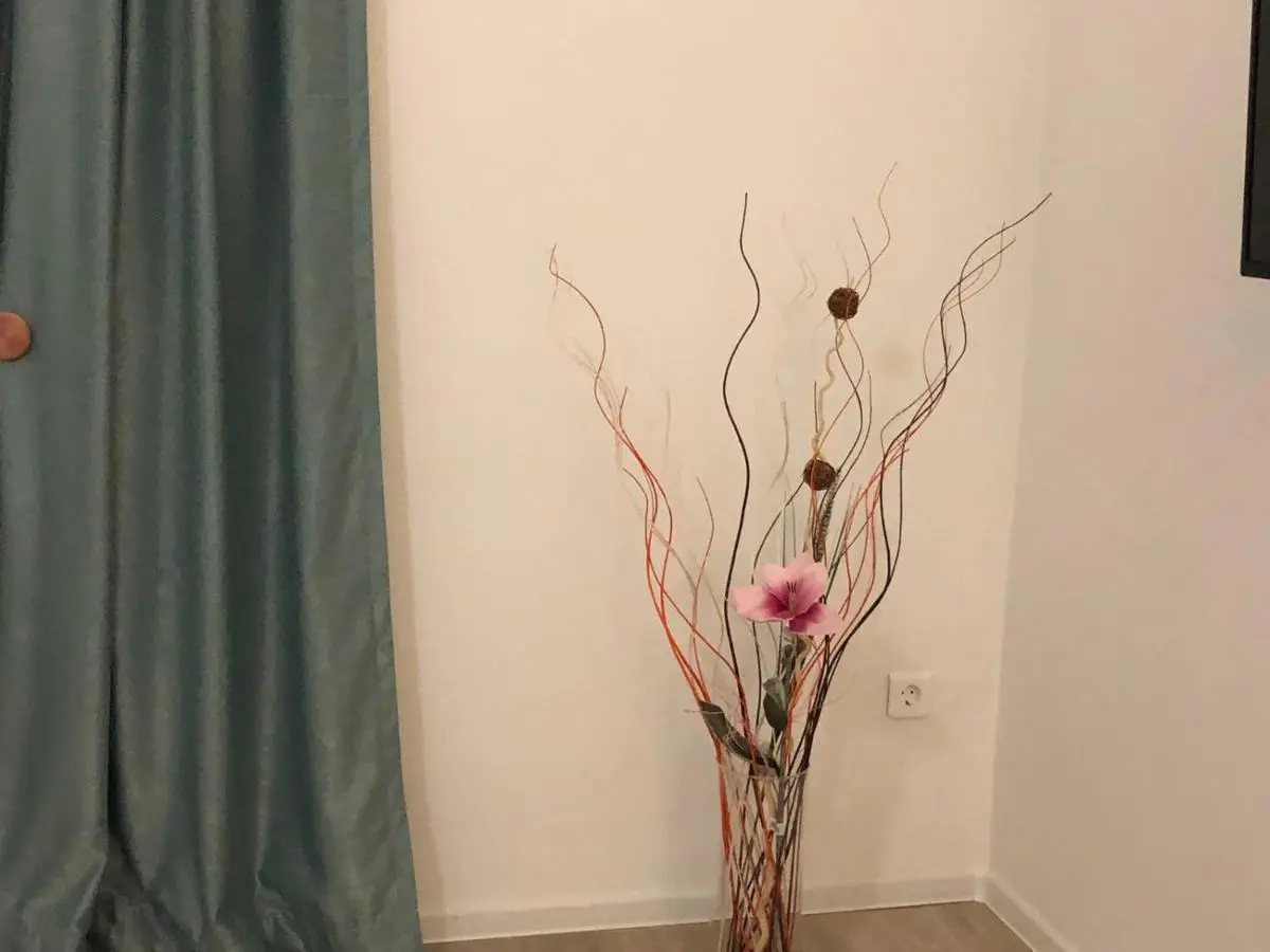 O..C.. Lux Apartments