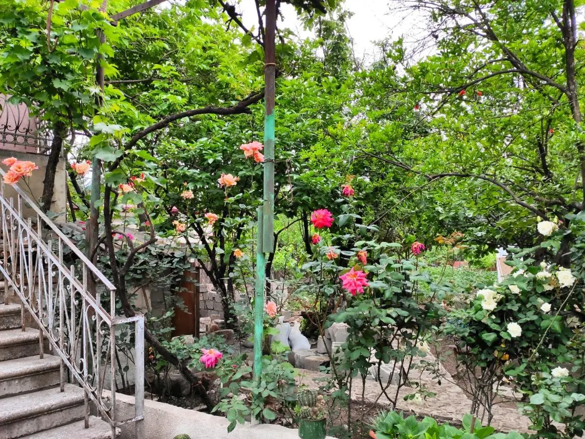 Guesthouse TTT