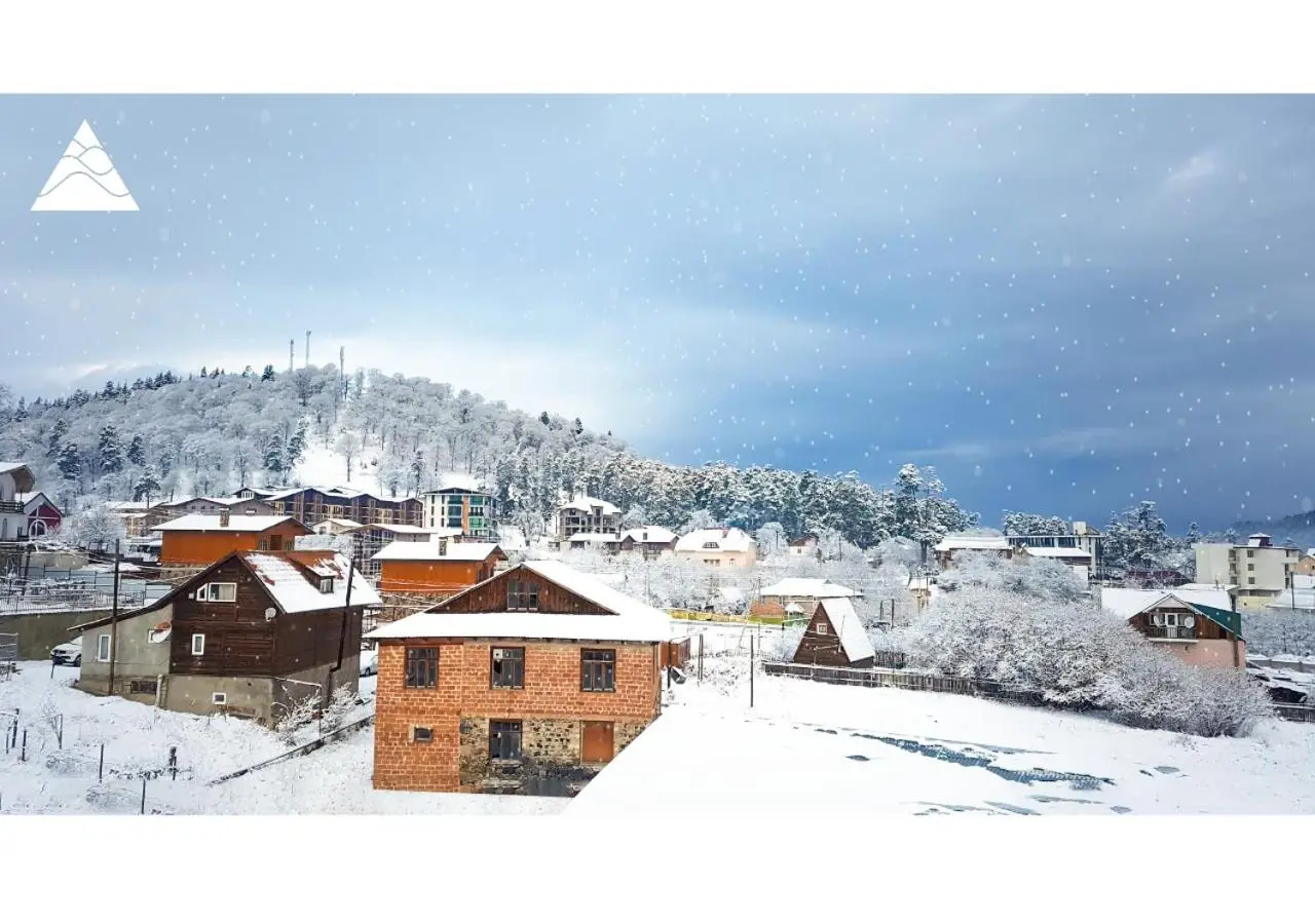 My House in Bakuriani