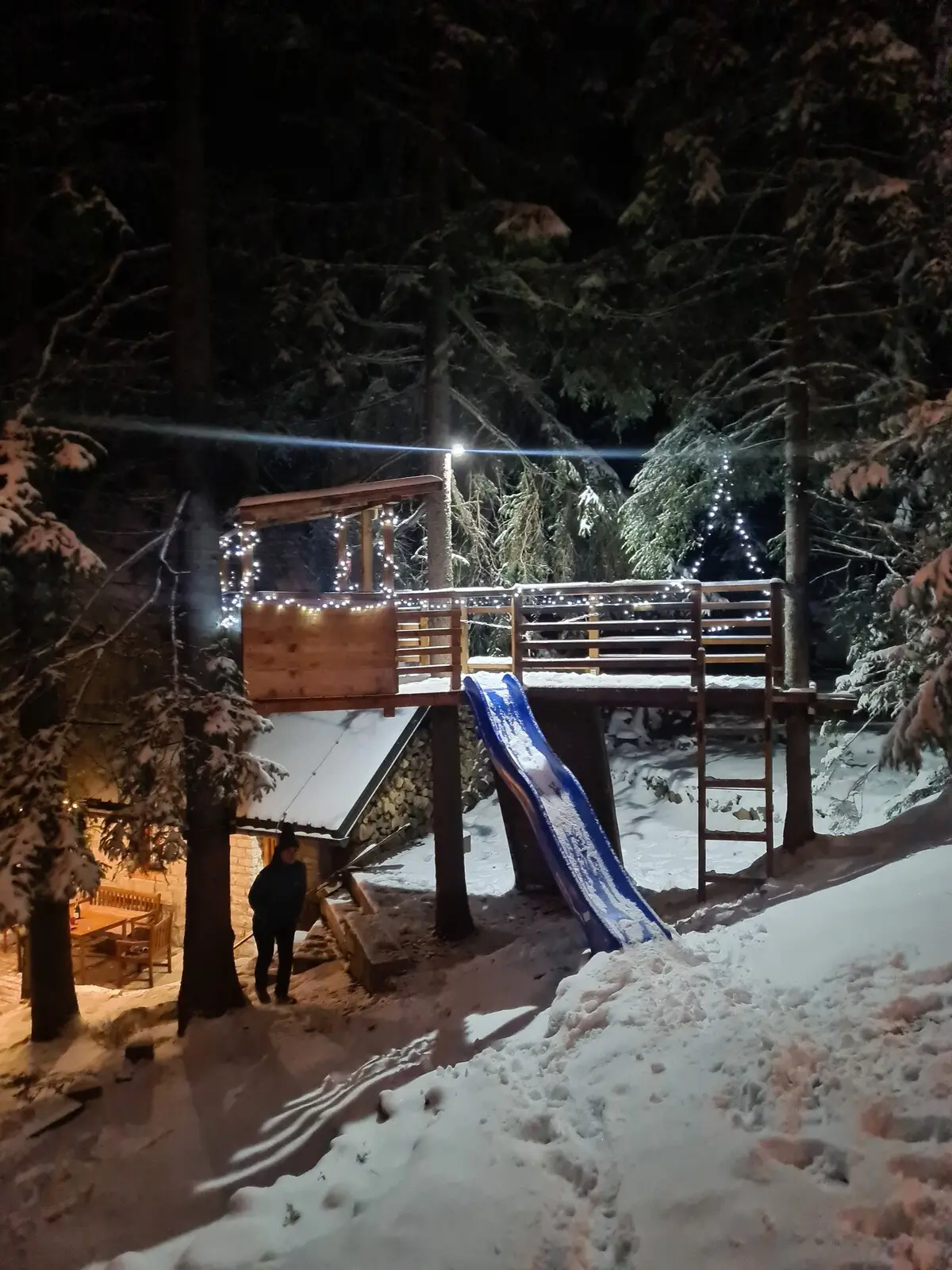 Vlasic Cabin