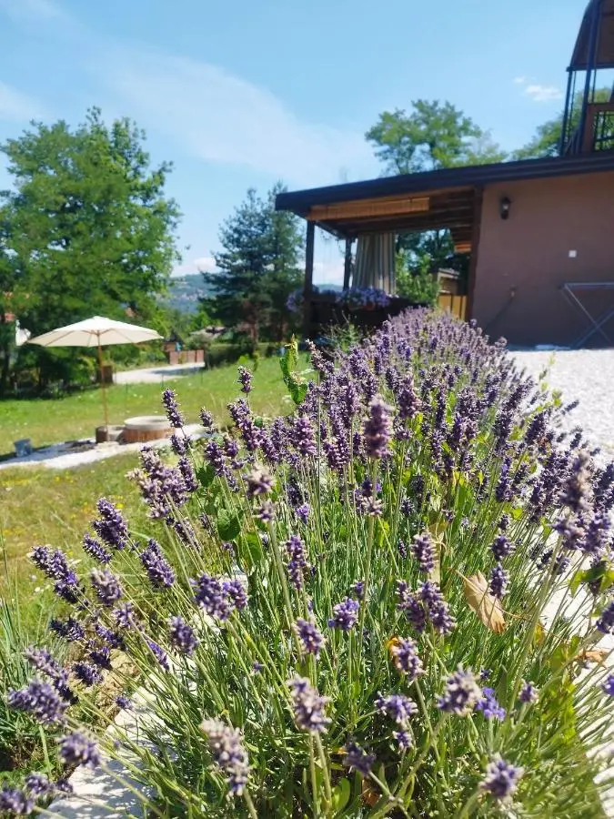 Perla Accommodation