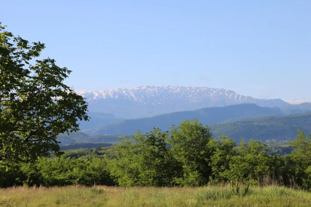 Tskaltubo village - nature resort