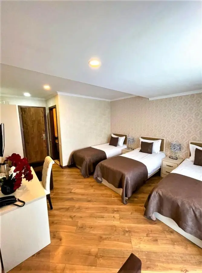 Hotel King David Bakuriani Mountain View