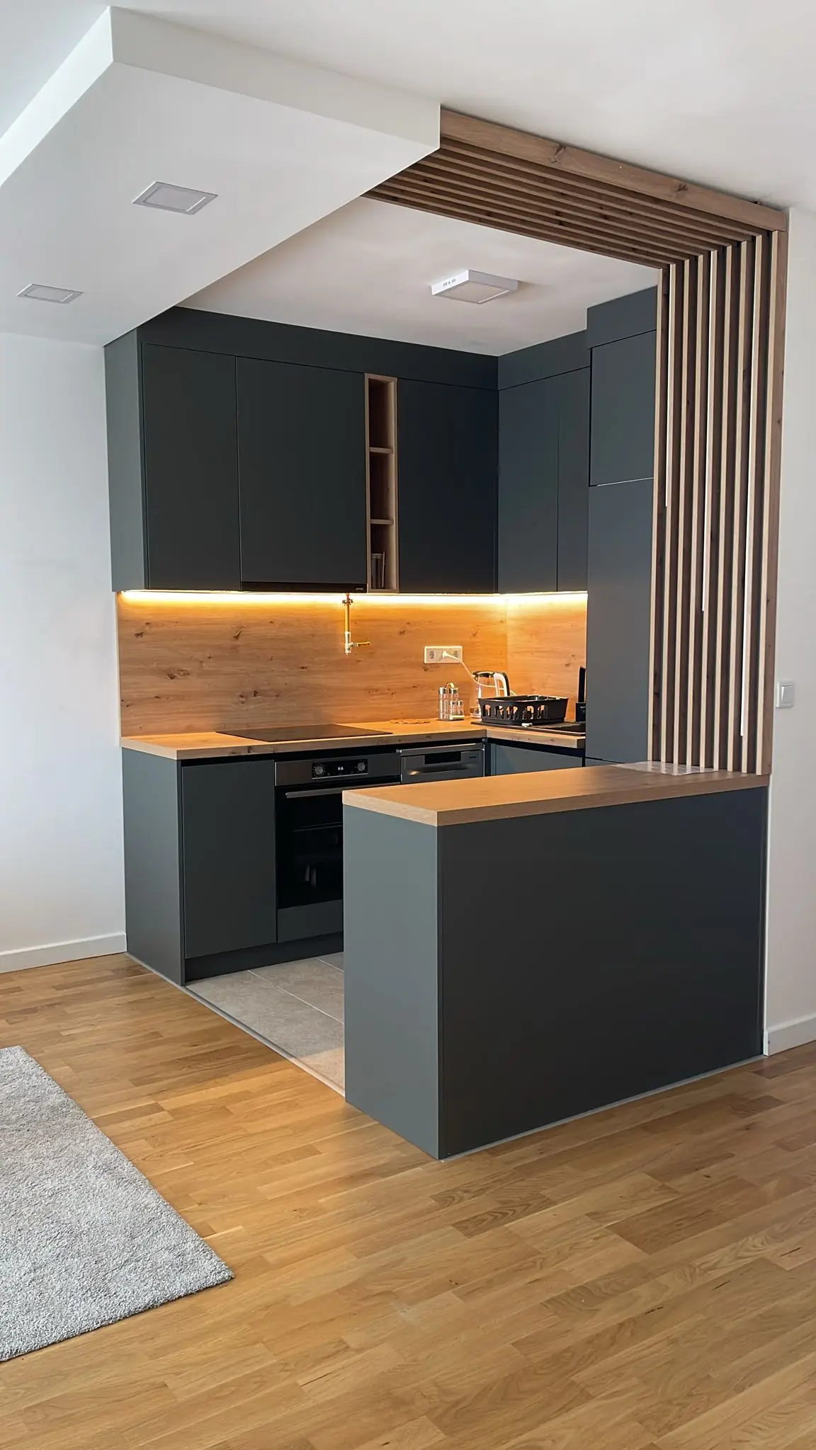 Ilidža VIP apartment