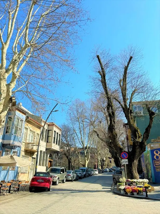 Kuzguncuk View