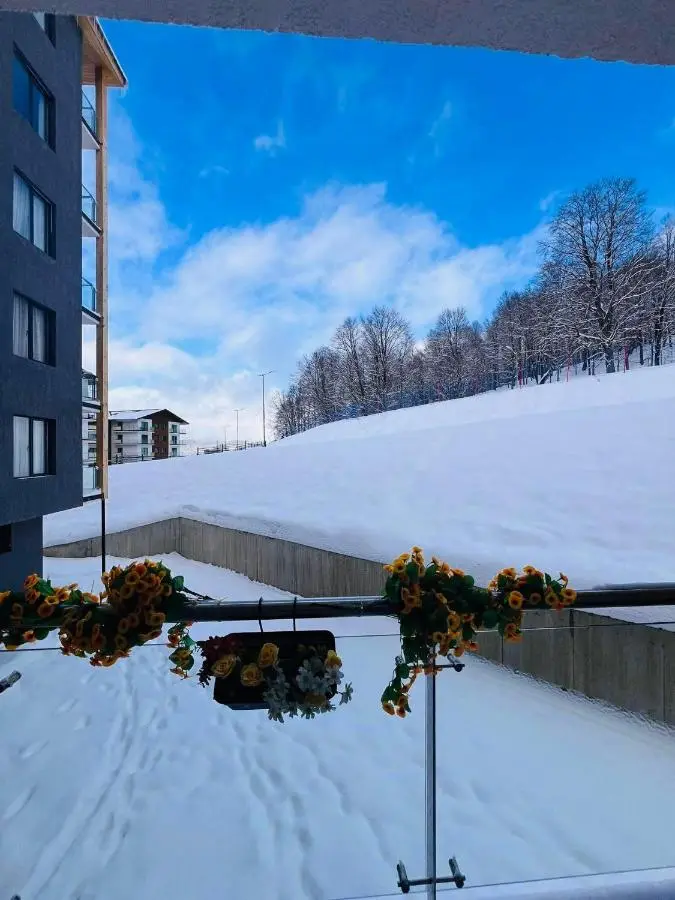Crystal Wood Apartment 213