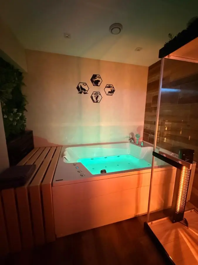 Vila Bašić Vlašić MEDO Spa Apartman Sauna & Jacuzzi