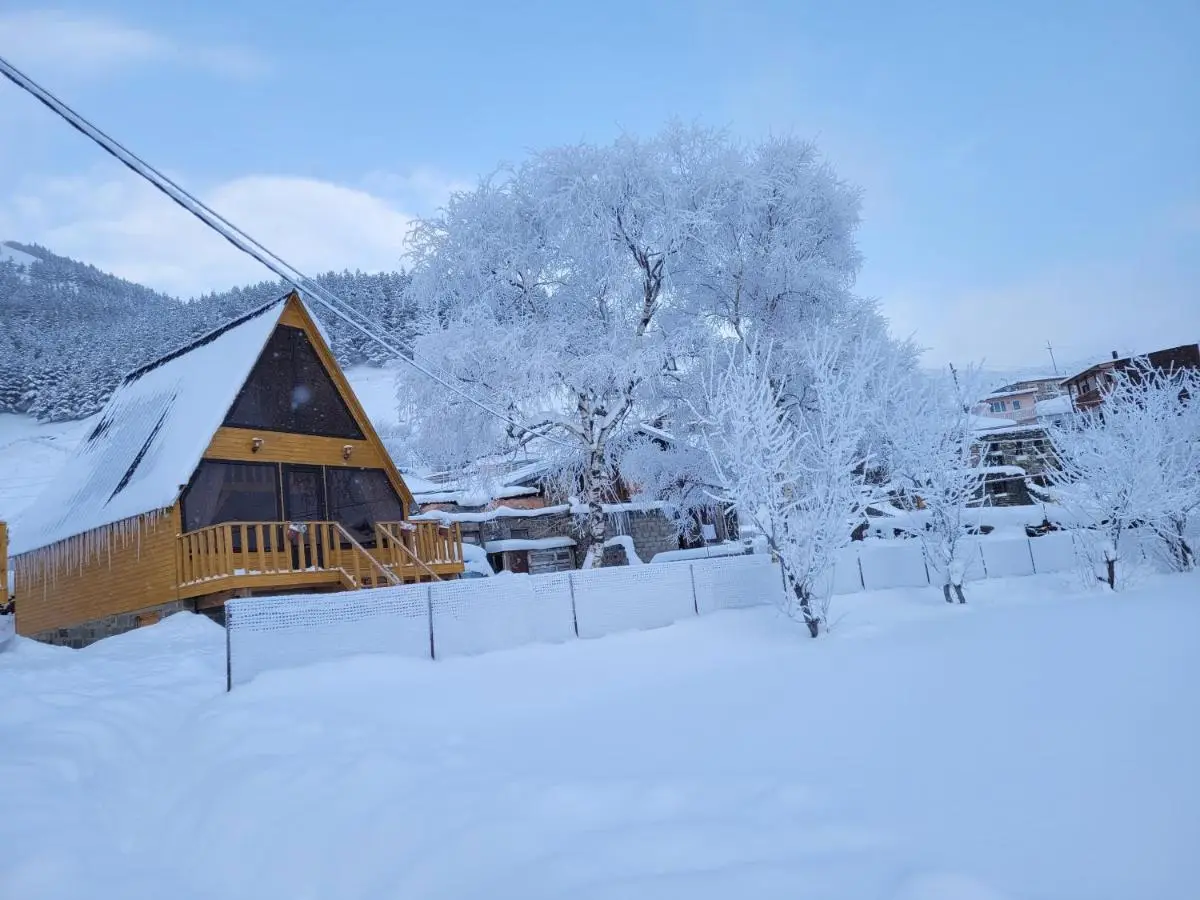 Pine Chalet Kazbegi