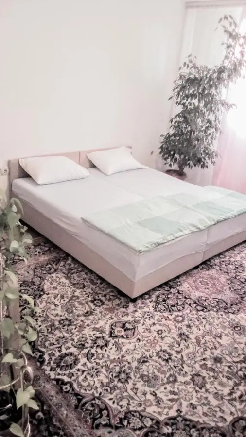Apartment Alipašino