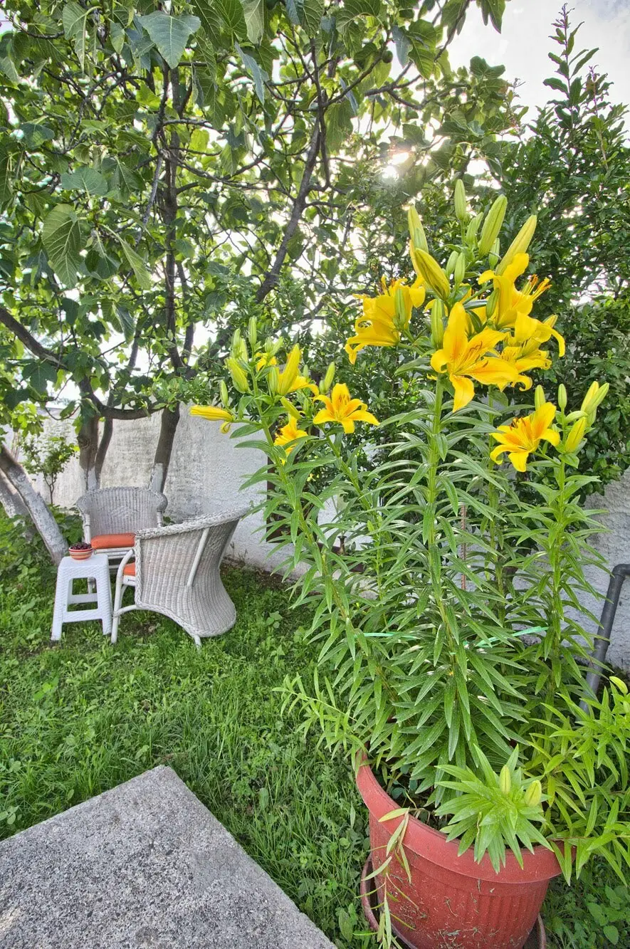 Vacation house "Guma" Mostar
