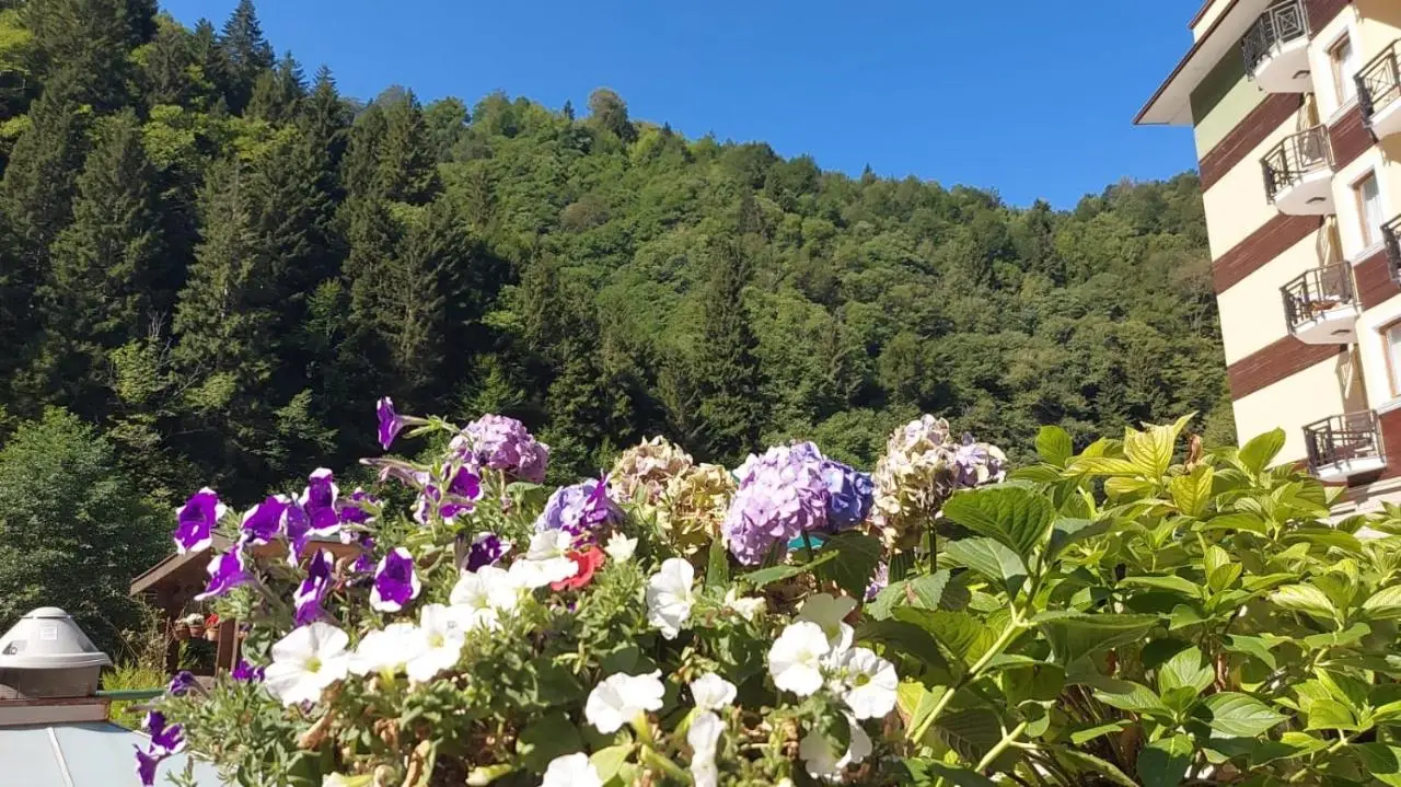 Ridos Thermal Hotel & Spa