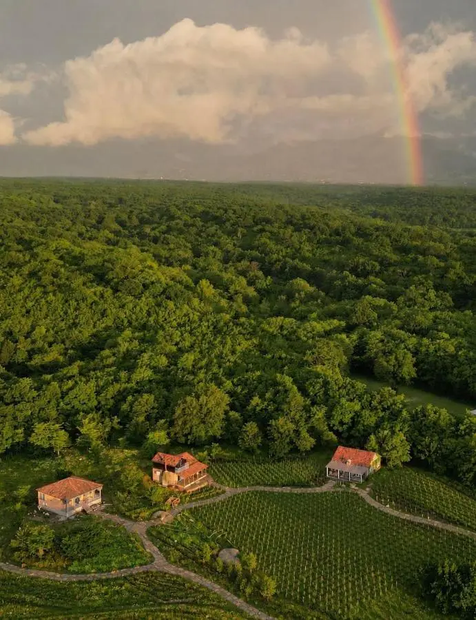 Chateau Vartsikhe