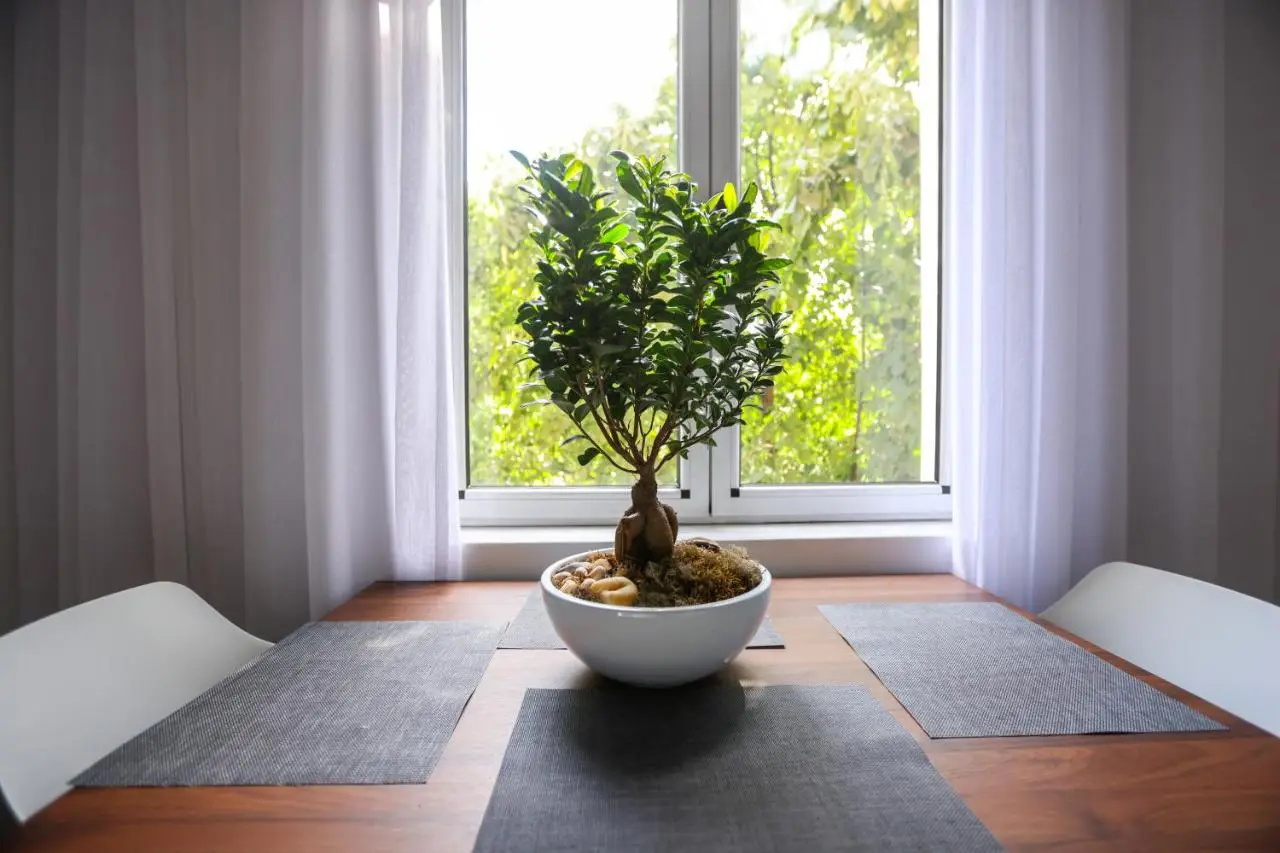 "MiddleNest" Central Apartment