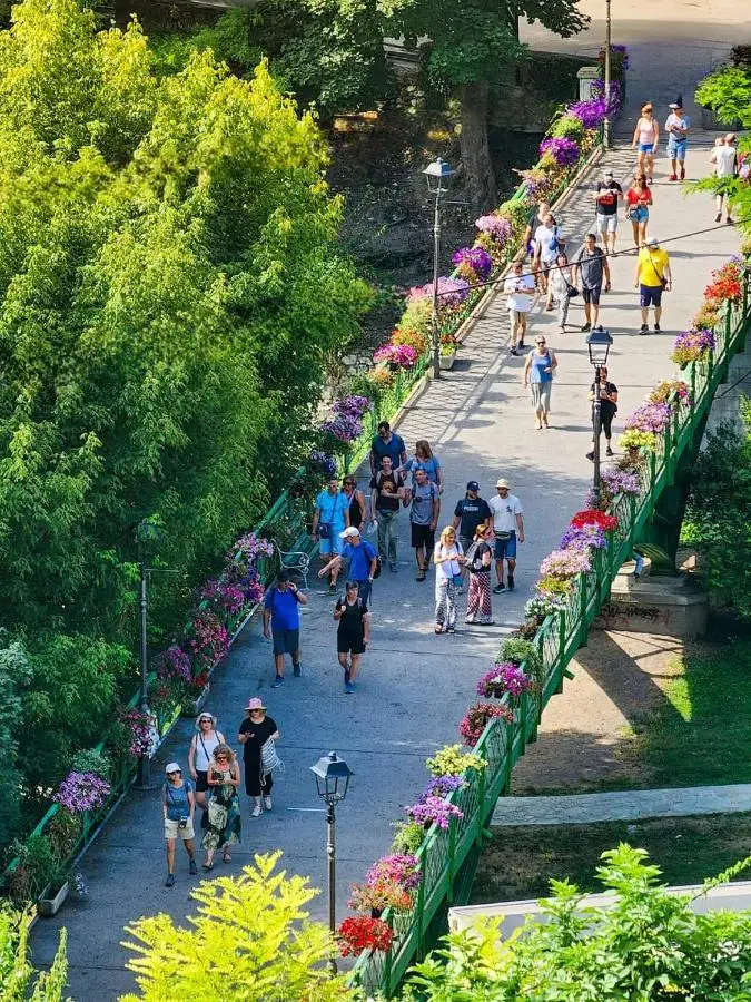 Vikendica Žute dunje Jajce