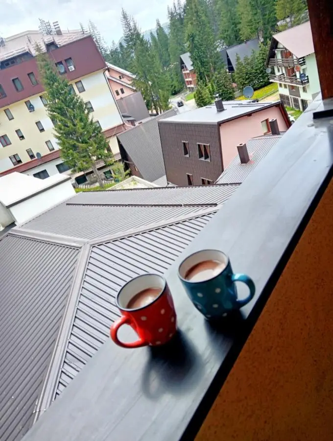 Vlašić Vacation apartment