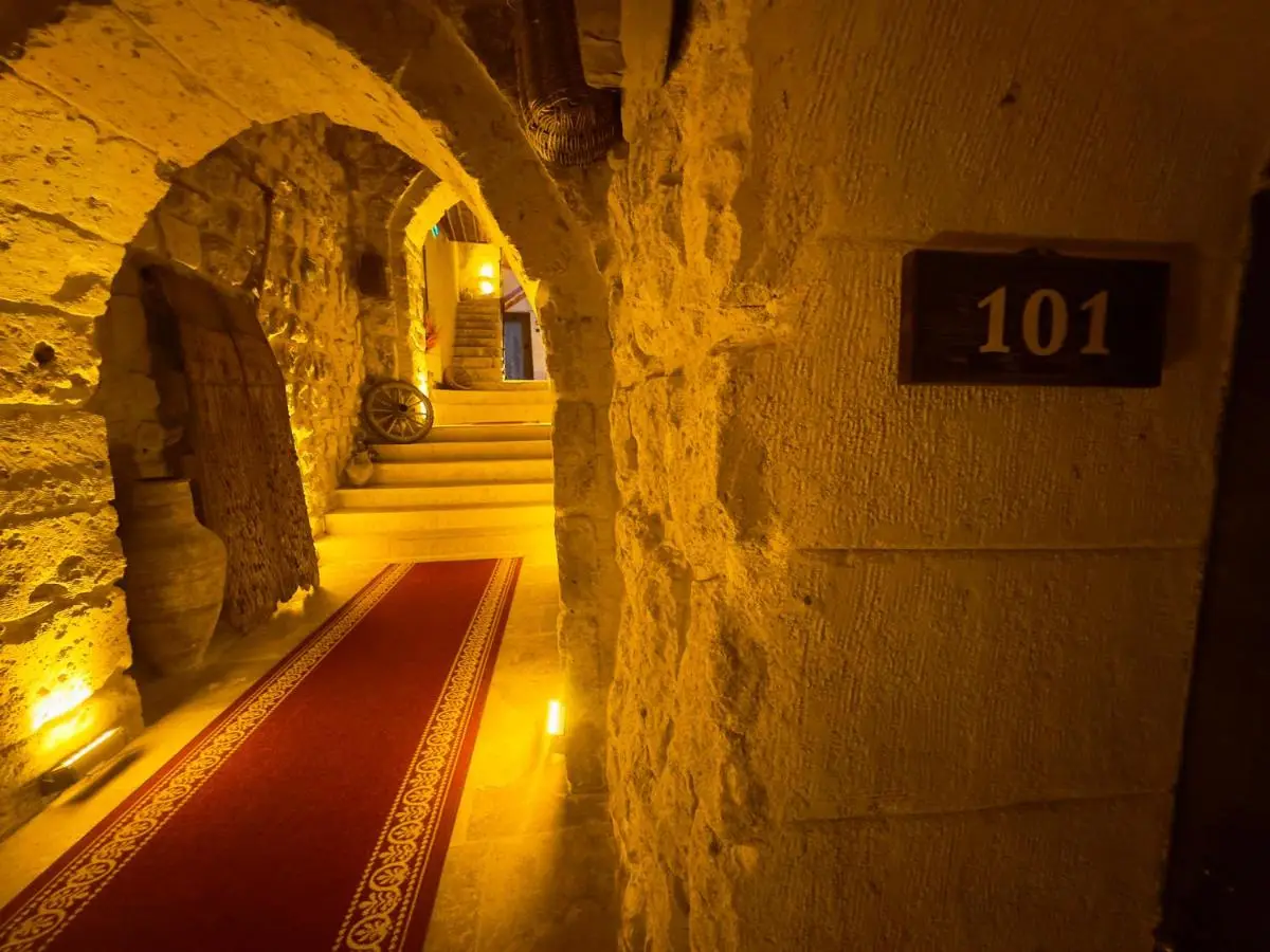 Euphoria Cave House