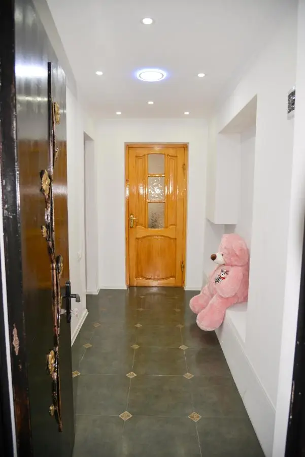 Anastasia Apartment