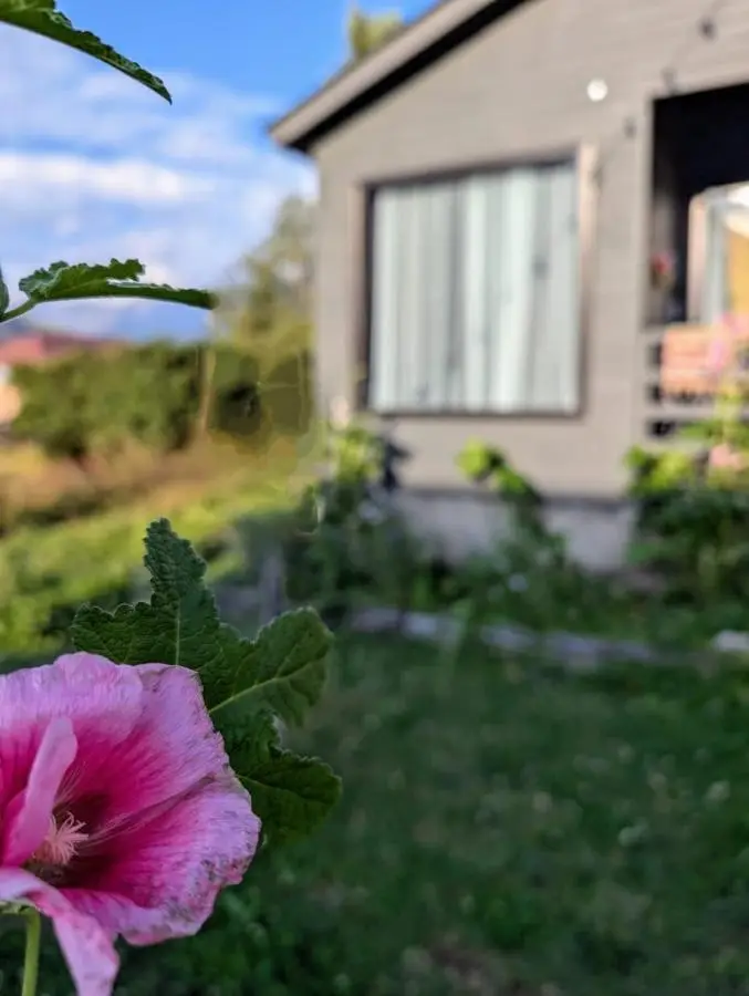 Cottage kazbegi sioni