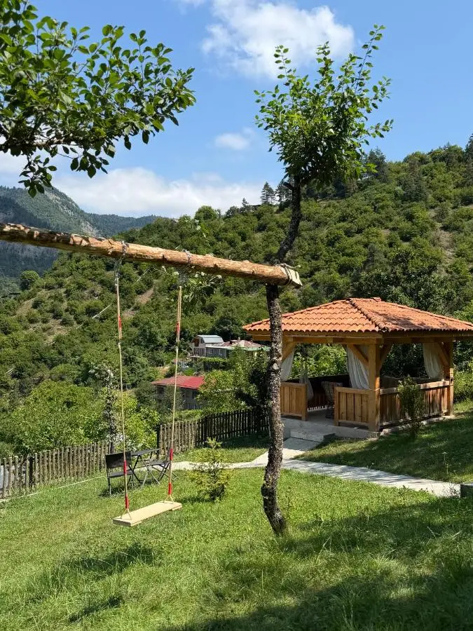 Hotel Borjomi Verde