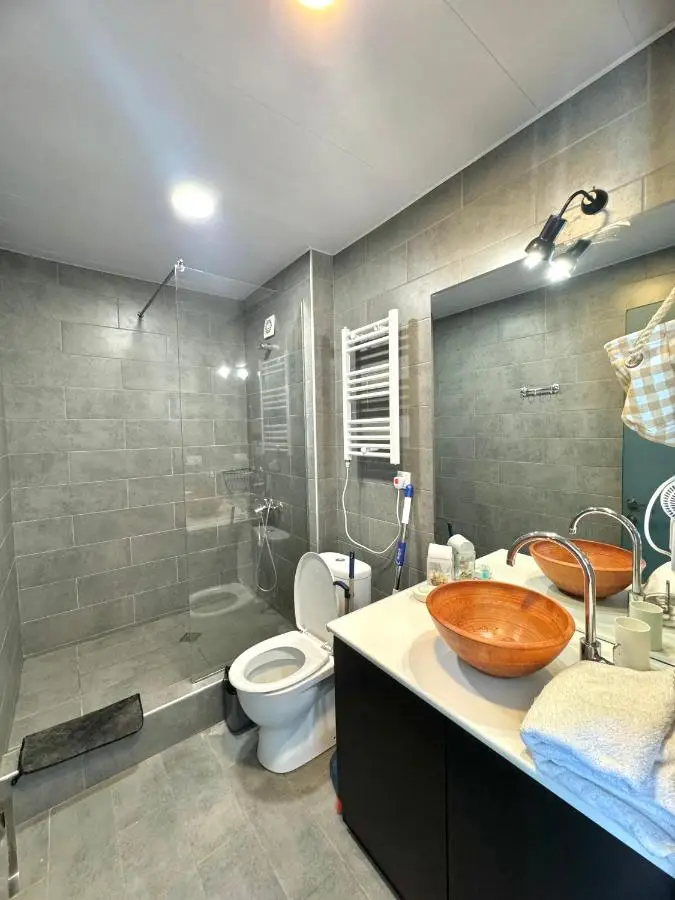 Bakuriani apartment 210