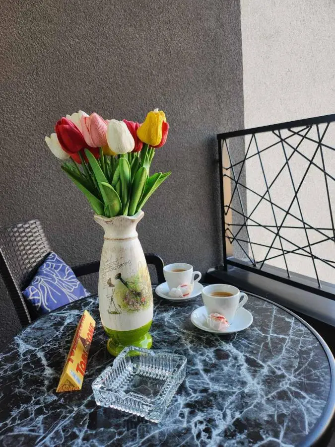 Comfort suite Bulevar