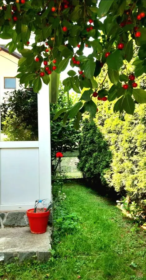 Holiday Home Mirza