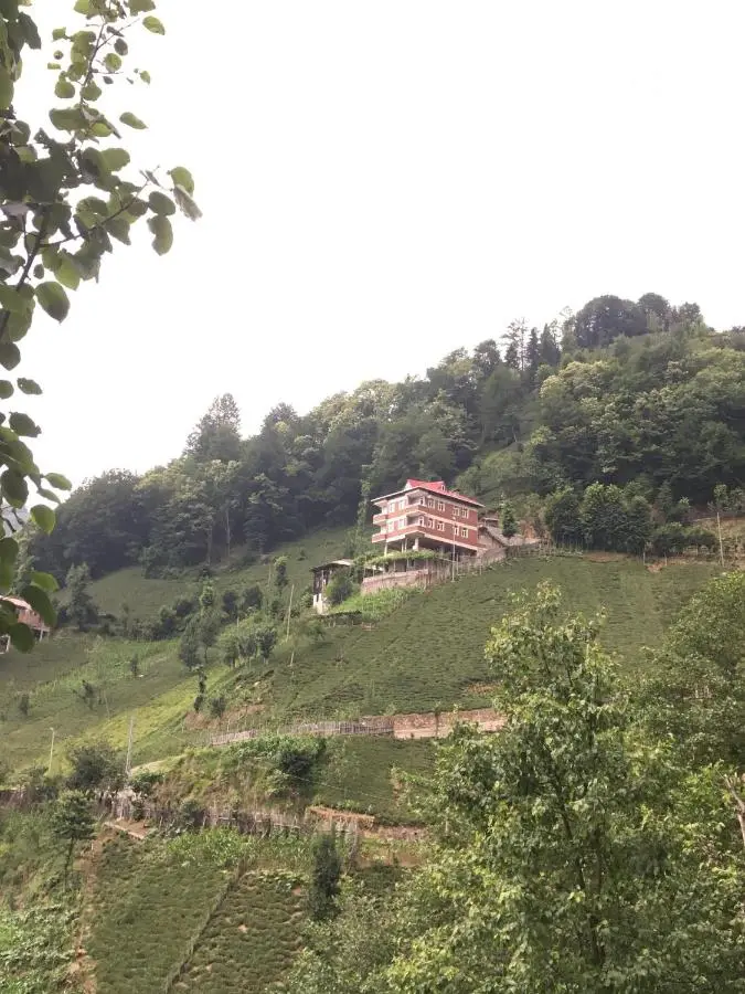 Gunguli Pansiyon
