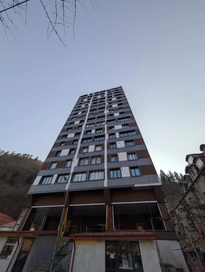 Gari's apartment next to Borjomi Central Park