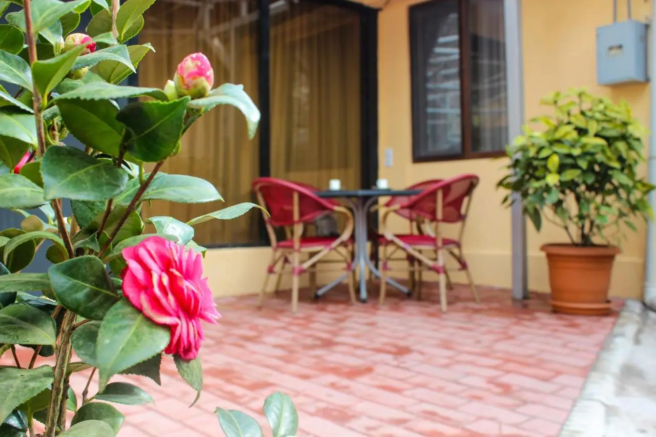 Lasha Apartment