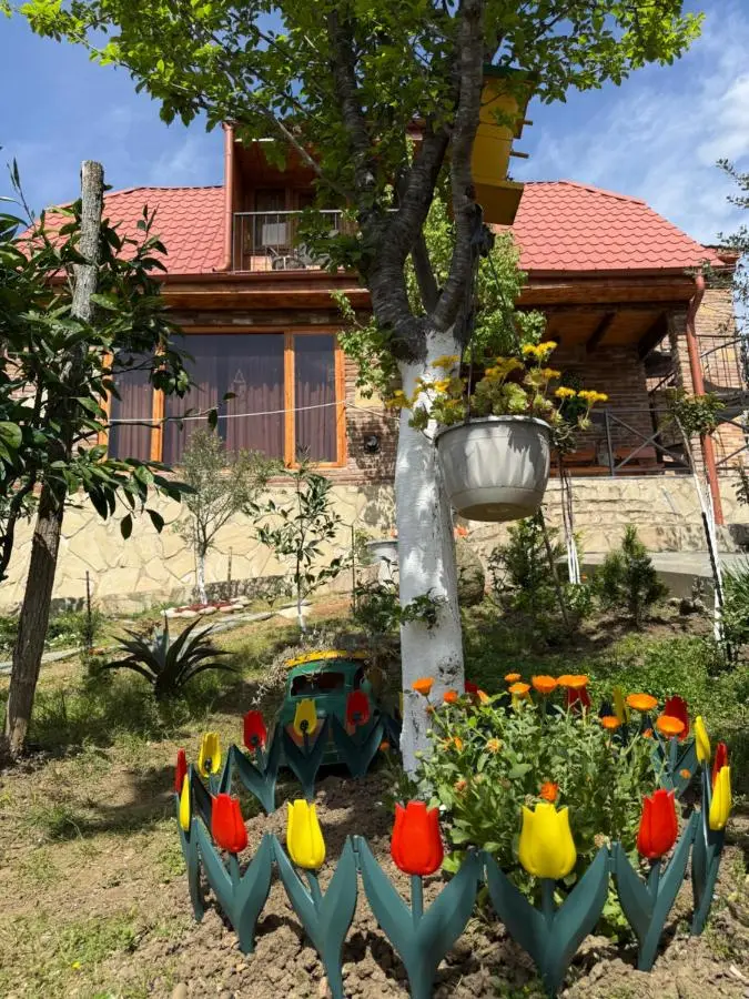 Sunshine House