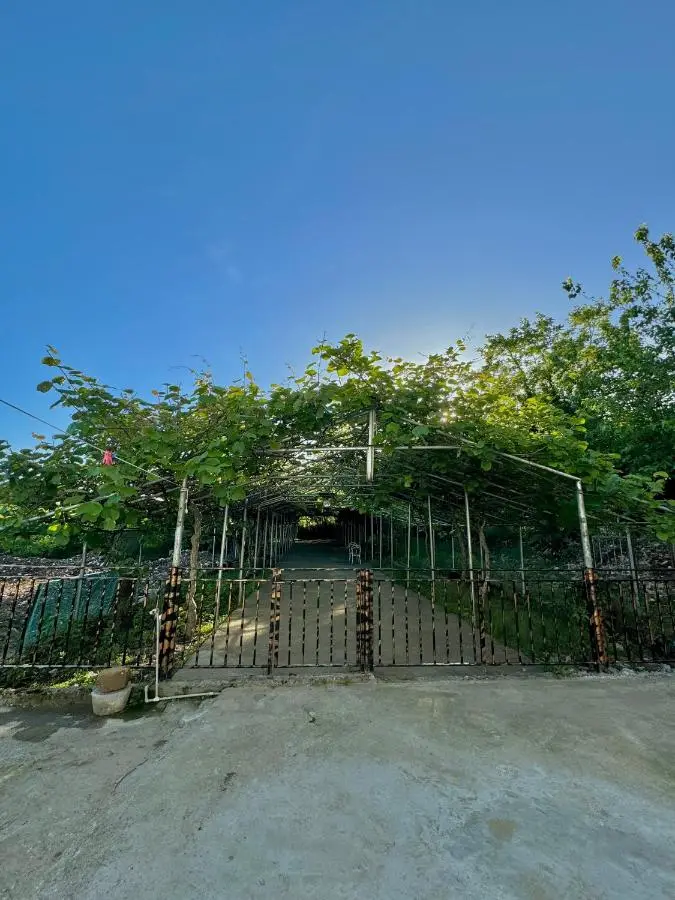 Hotel Okatsia სასტუმრო ოკაცია