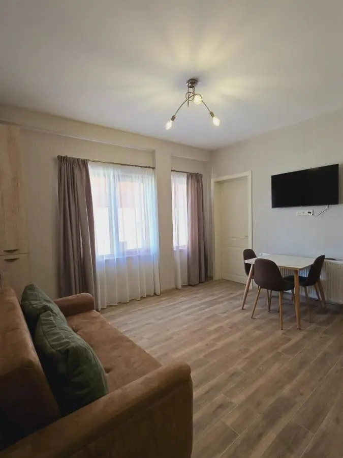 Bakuriani apartment 101 Tsakadze 20