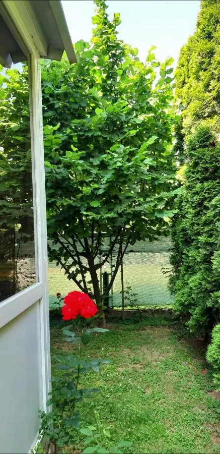 Holiday Home Mirza