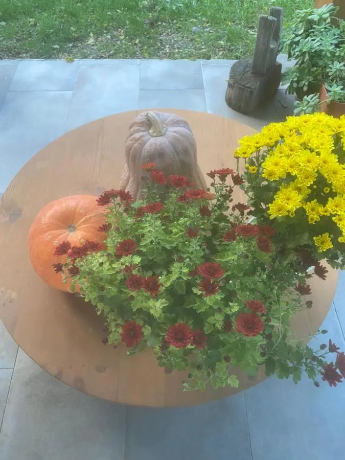 Rupa Guest House