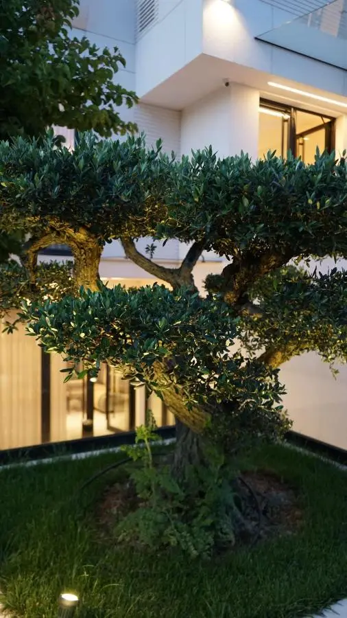 Arbnor Boutique Hotel