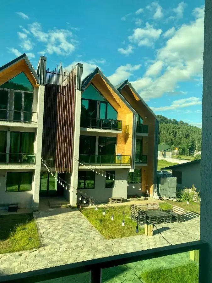 Snow Forest Bakuriani Apartment 10