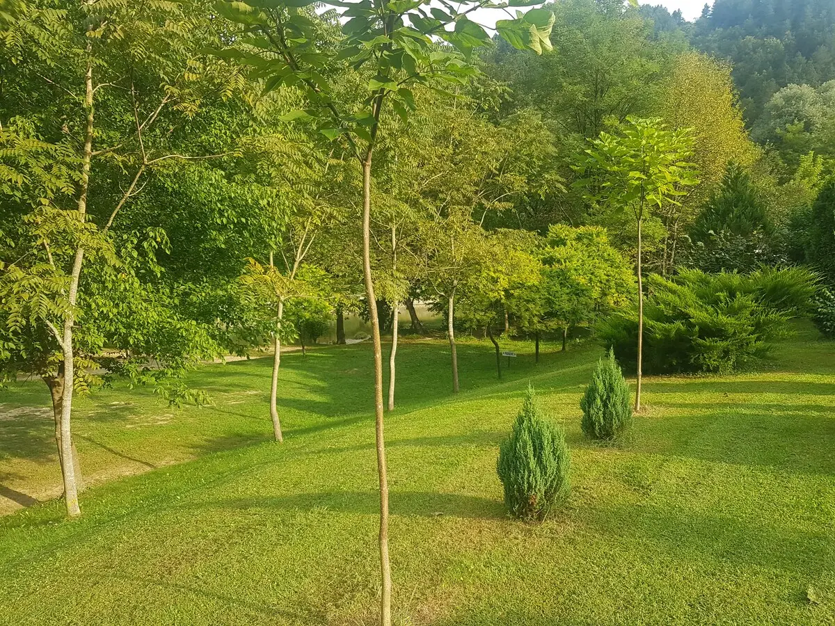 Villa Emrah River One