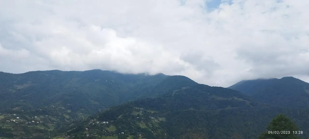 GREEN GUNDAURI